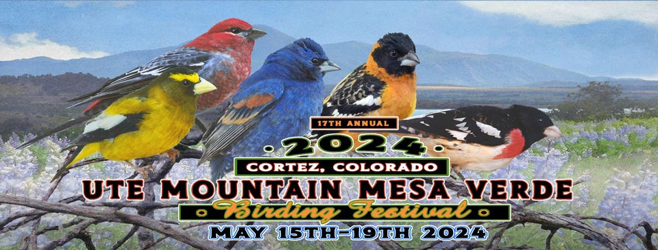 Ute Mountain Mesa Verde Birding Festival, May 15 - 19, 2024