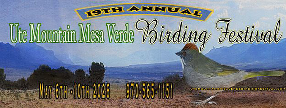 19th Annual Ute Mountain Mesa Verde Birding Festival May 6 - 10, 2026